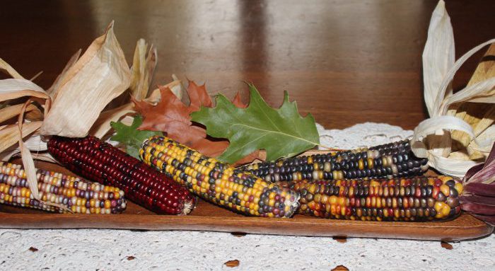 Riding from Bowmanville – Saturday, October&nbsp;10