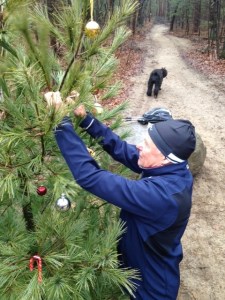 November & Early December Hikes by&nbsp;Brian