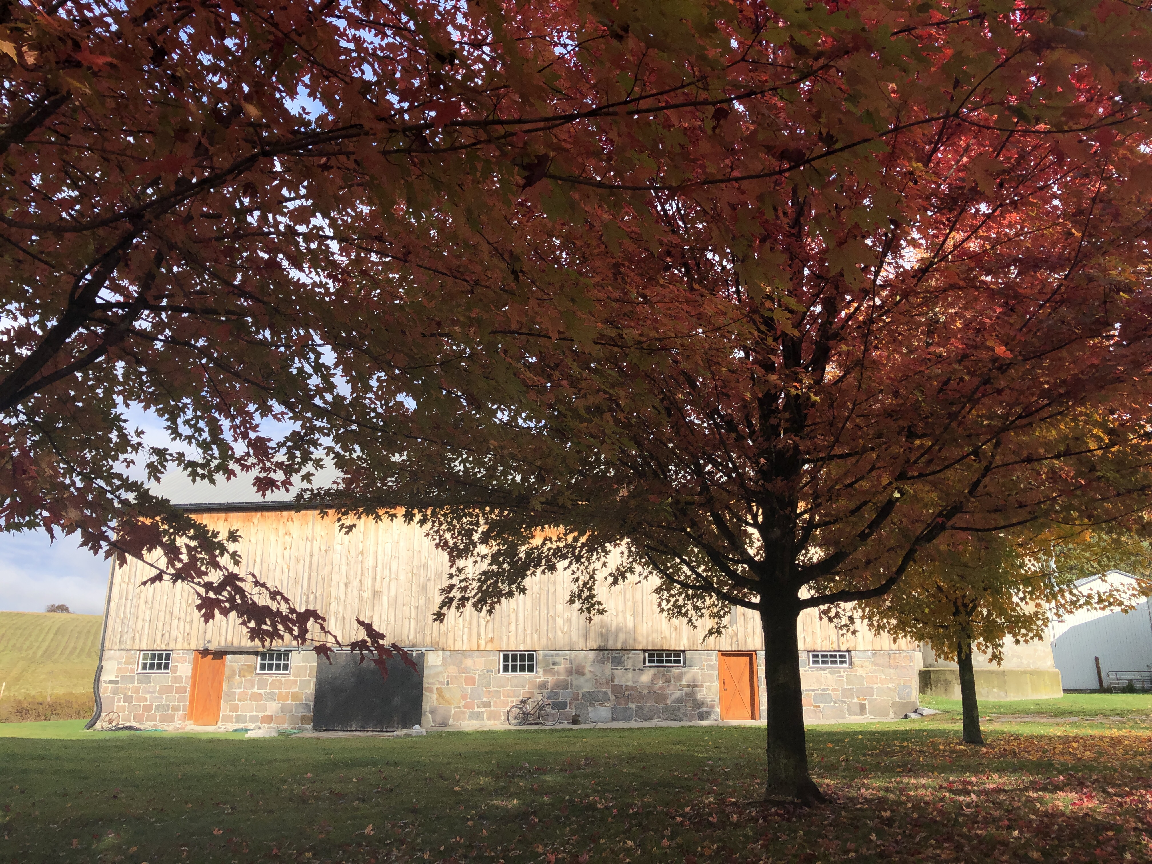 IT IS AGM TIME! Saturday, October&nbsp;2